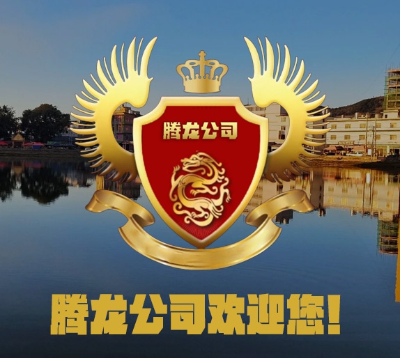 腾龙光学企业形象